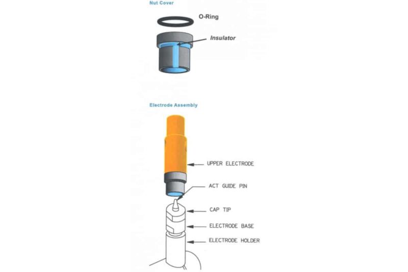 Nut Covers Diagram