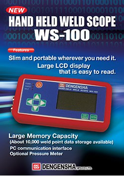 WS 100